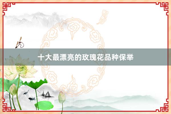 十大最漂亮的玫瑰花品种保举