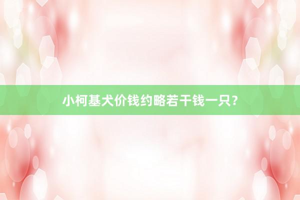 小柯基犬价钱约略若干钱一只？