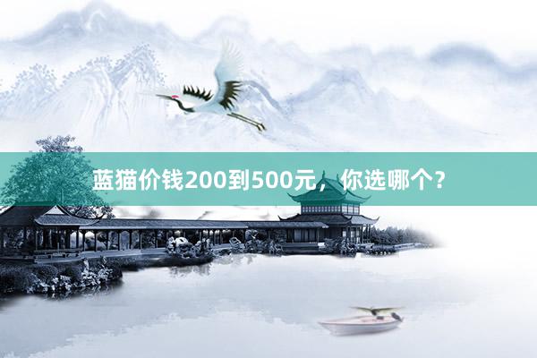 蓝猫价钱200到500元，你选哪个？